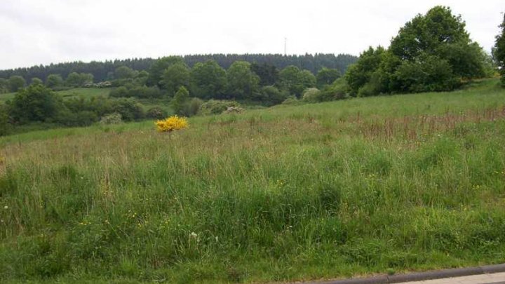 Schöne Grundstücke im Neubaugebiet Hellenthal