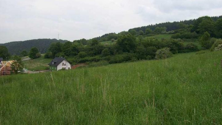 Schöne Grundstücke im Neubaugebiet Hellenthal