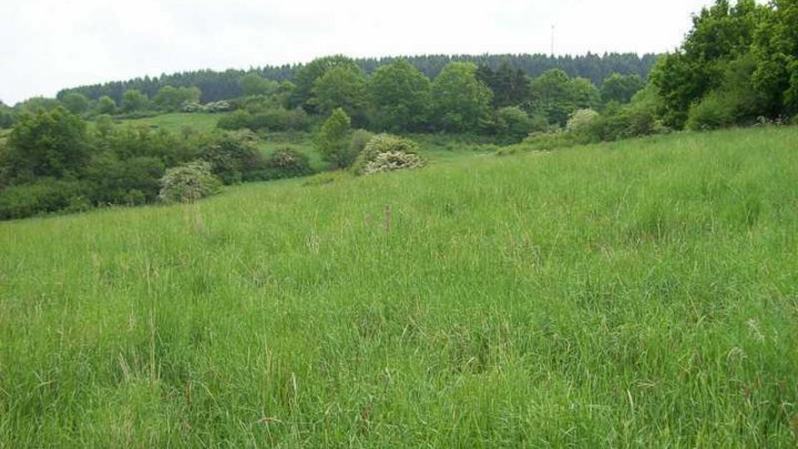 Schöne Grundstücke im Neubaugebiet Hellenthal
